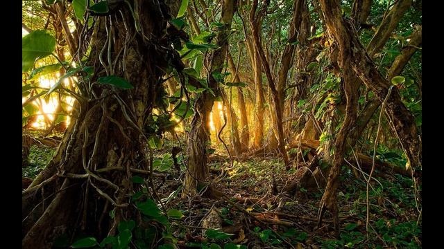 44 Медитация для накопления энергии Кундалини. Медитации Крайона смотреть онлайн