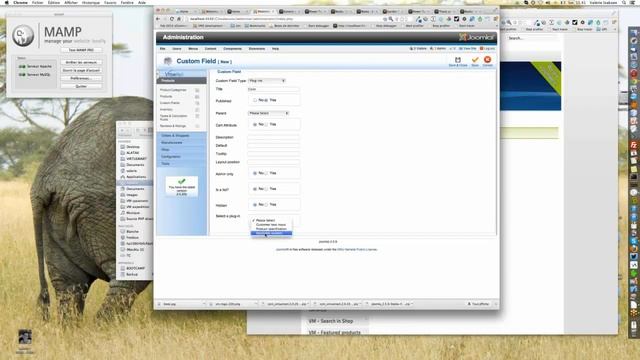 VirtueMart Webinar 4/8/13 смотреть онлайн