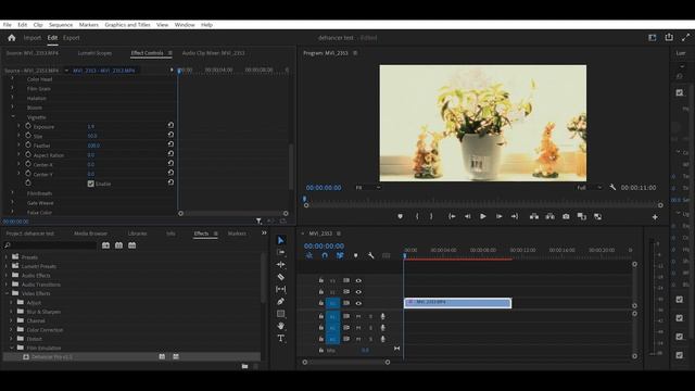 Enhance Your Videos With Dehancer смотреть онлайн