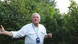 Геннадий Распопов, яблоневый сад