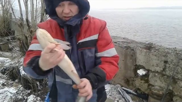 Ловля налима в апреле.Сургут.Нулевой причал.(26/04/2020) смотреть онлайн
