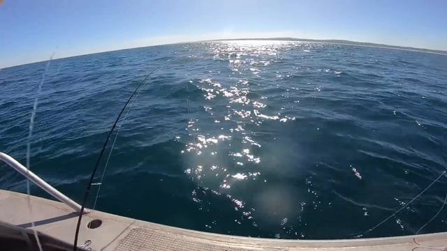 Shut Up and Just Go FISHING! Catch Clean N COOK Best Fish Tucker смотреть онлайн