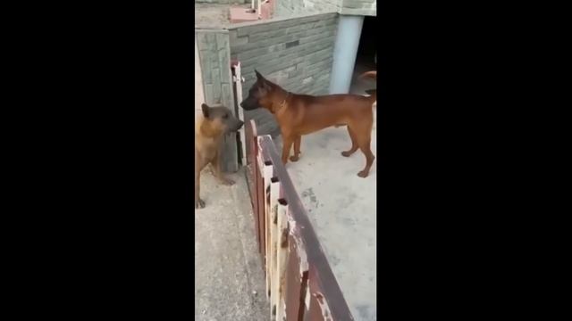 Another dose of positive mood boost #19. Smile, don't be sad! смотреть онлайн