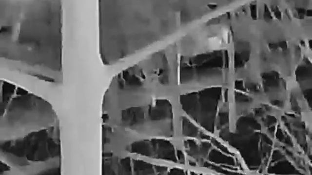 Тепловізор Dahua DHI-TPC-M20-B10 смотреть онлайн