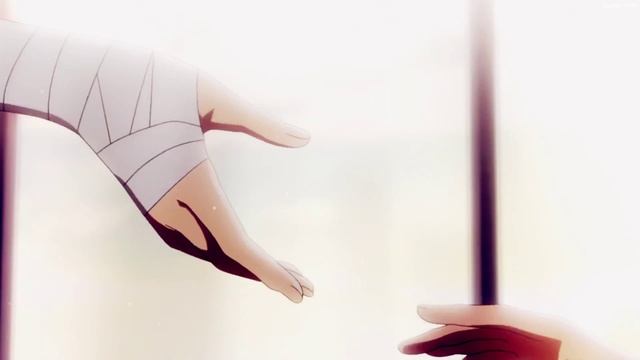 Princesses Don't Cry「AMV」- Akagami no Shirayuki-hime ᴴᴰ