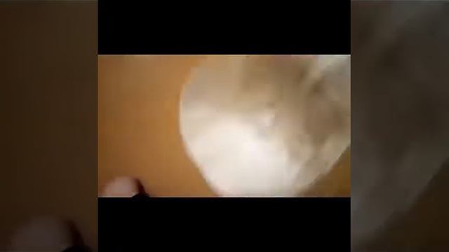 Это мой новый друг .ВЛОГ смотреть онлайн