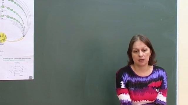 Менделеева Е. А. Органическая химия. Производные углеводородов. Тема Целлюлоза, клетчатка смотреть онлайн