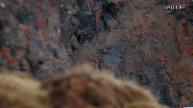 Секция 5. Киноклуб в рамках «Дня Арктики в ПБ», показ фильма «Арктика. Космос на Земле» смотреть онлайн