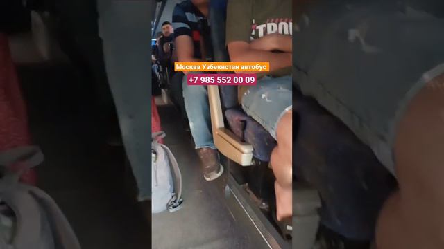 москва-узбекистан автобус москва-ташкент автобус смотреть онлайн