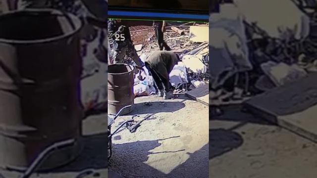 14:03:2020 Город Капчегай Взорвался Снаряд на Пункте према Металломма смотреть онлайн