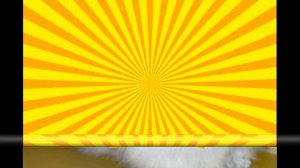 Самые лучшие имена для кошек ТОП 10 Клички имена для кошек  КАК НАЗВАТЬ КОШКУ КОТЁНКА Красивые имен