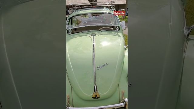 vw bug #volkswagen #herbie #vocho #vw baja #vw bus #car show #Beetle смотреть онлайн