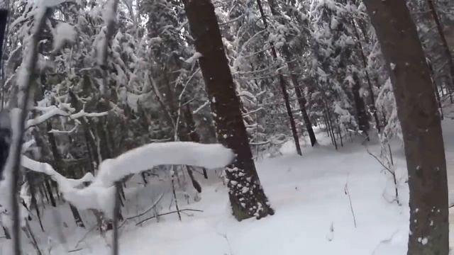 Охота на зайцев 22 12 18 смотреть онлайн