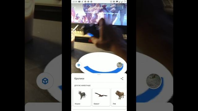 Как включить 3D животных в Google смотреть онлайн