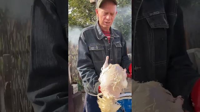 Забой птицы | Андрей Лунёв смотреть онлайн