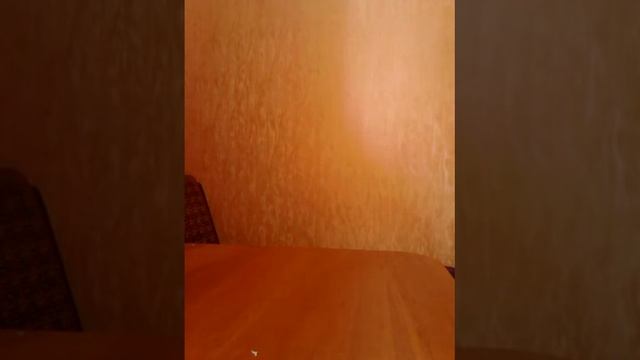 ОБЗОР/ МОИ РЕЗИНКИ ДЛЯ ПЛЕТЕНИЯ БРАСЛЕТОВ смотреть онлайн