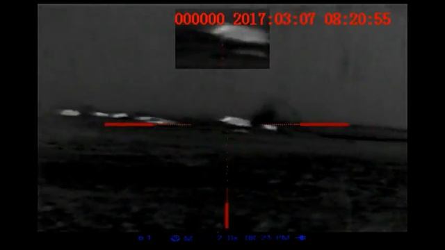 9 hogs down with the Pulsar Apex 50a смотреть онлайн