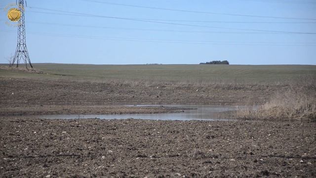 НАХОДКИ 18 ВЕКА, НАКОПАЛИ ПОЛНУЮ СУМКУ! XP Deus: Дневной и ночной коп посреди города смотреть онлайн