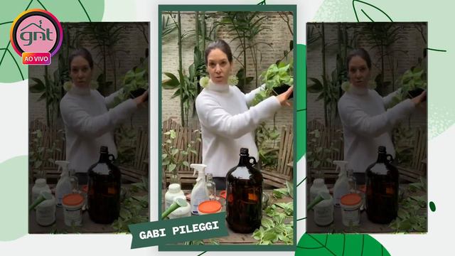 Gabi Pileggi ensina passo a passo como cultivar plantas na água | Lives da Quarentena смотреть онлайн