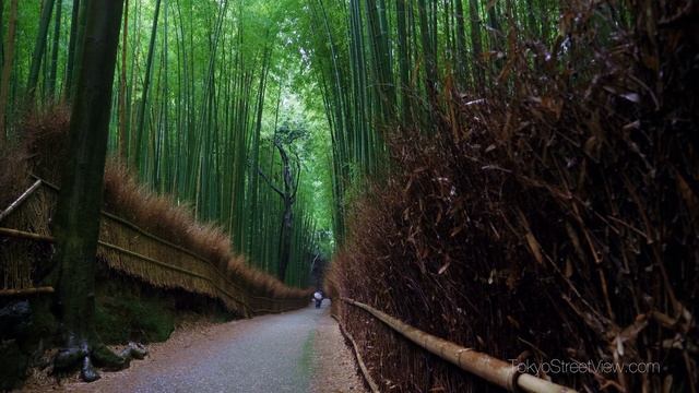 Arashiyama - Kyoto - 嵐山
