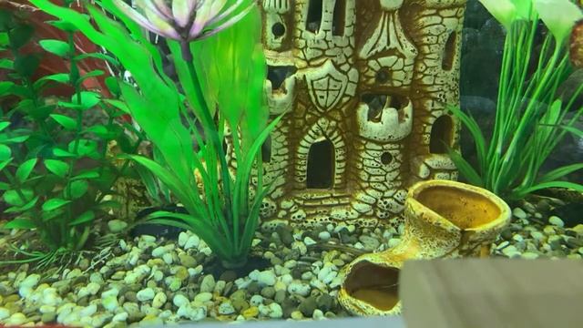 Читаем детям: Е.Шварц «Сказка о потерянном времени»/10.12.22 17:10 смотреть онлайн