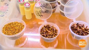 Перга, прополис и другой пчелиный суперфуд. Доброе утро. Фрагмент выпуска от 19.01.2024