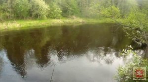 Ловля щуки и голавля на спиннинг. Как я сезон спиннинга открывал. Ловля голавля на воблер весной