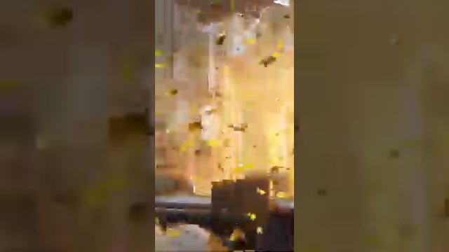 Незабудка смотреть онлайн