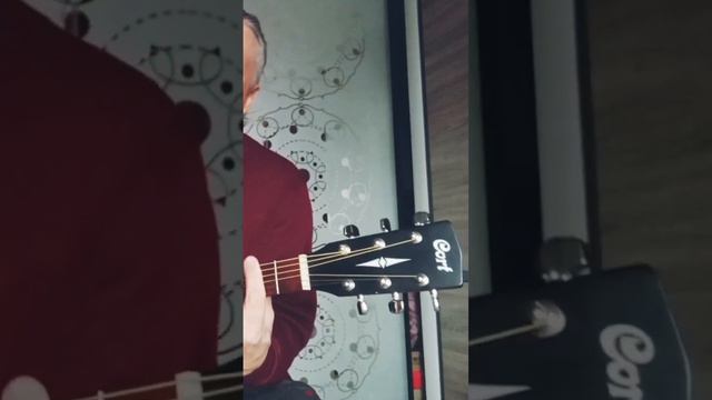 Віктор Третьяков/ ЗІРОЧКА/ Український переклад та кавер-версія: Володимир Брянцев/ смотреть онлайн