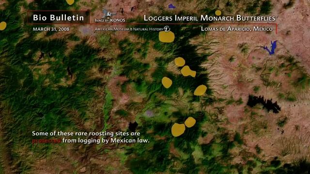 Science Bulletins: Logger Imperil Monarch Butterflies смотреть онлайн