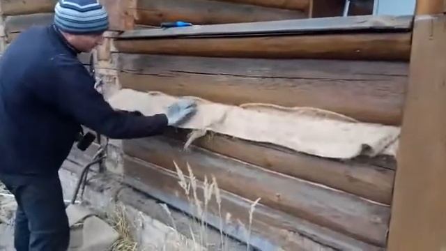 Процесс конопатки сруба паклей смотреть онлайн