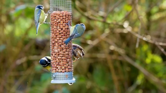 ВОССТАНОВЛЕНИЕ НЕРВНОЙ СИСТЕМЫ 🌿 Нежная музыка, успокаивает нервную систему и радует душу #25 смотреть онлайн