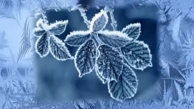 Консультация - Как вернуть жену. Торсунов О.Г. смотреть онлайн