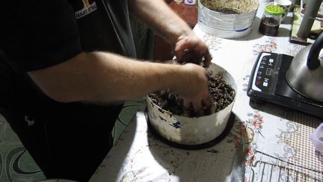 Землянка выживание! Харьков! шампиньоны грибы! мицелий! посадка мицелия! вырастить грибницу! смотреть онлайн