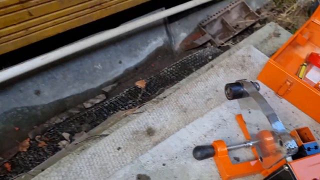 Дачный участок после половодья приходит в себя! Первые всходы. 2 мая 2022г. смотреть онлайн