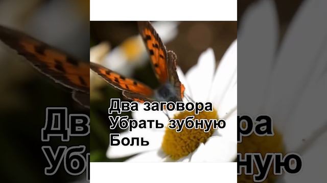 # два заговора убрать зубную боль # смотреть онлайн