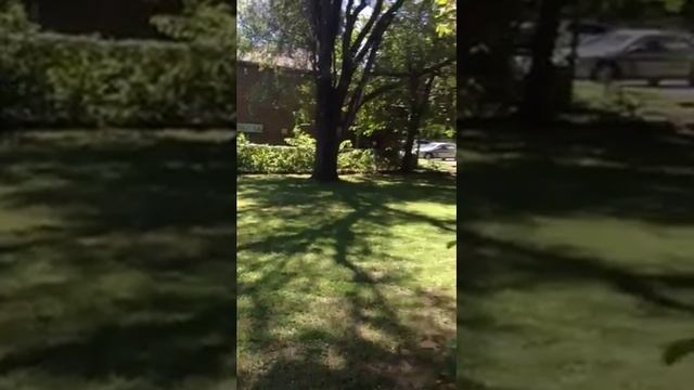 Best of Backyard Football смотреть онлайн