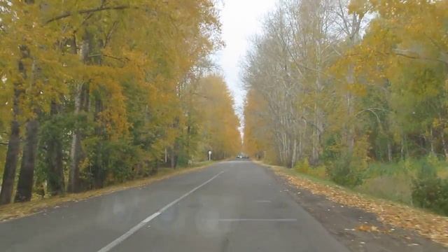 самая крассивая аллея тополиная смотреть онлайн