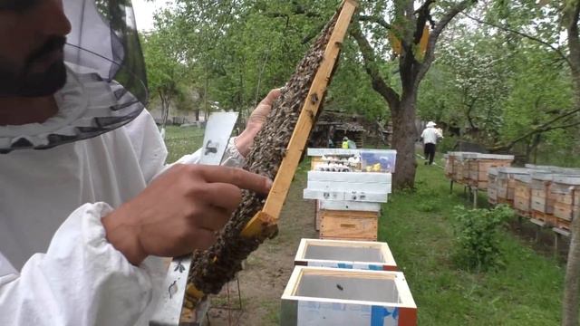 Работаем на пасеке 4.05.2019 смотреть онлайн