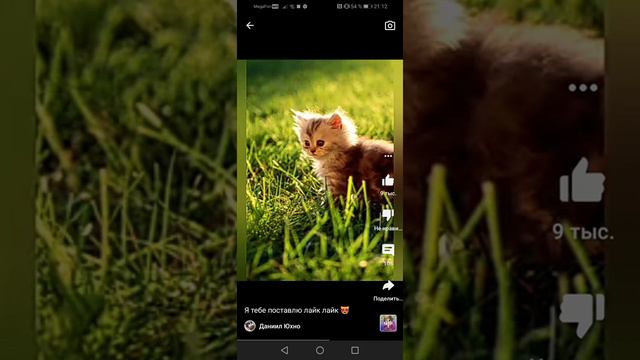 картинки катят 4 смотреть онлайн