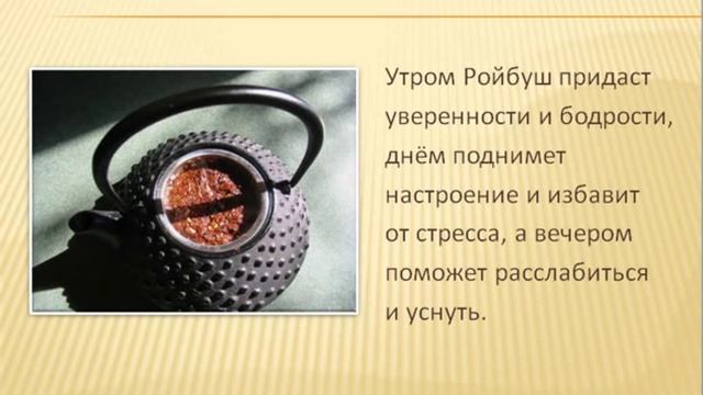 Ройбуш. смотреть онлайн