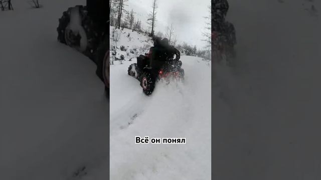 Всё он понял. Смотрите полное видео Https://youtu.be/eMkGWaHI7DQ #норильск #polaris #brp #renegade