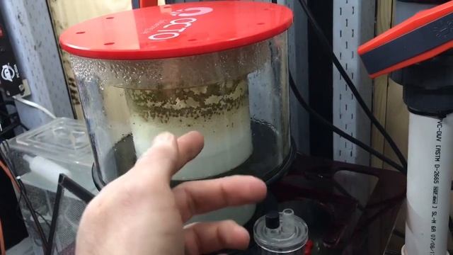 Skimmer Troubles - How Do You Tune This Thing? смотреть онлайн