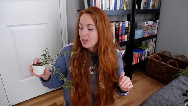 MY TOP 10 HOYAS | Fall Edition смотреть онлайн