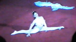 Цирк декабрь 1996