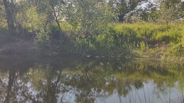 VID_20230609_164410 смотреть онлайн