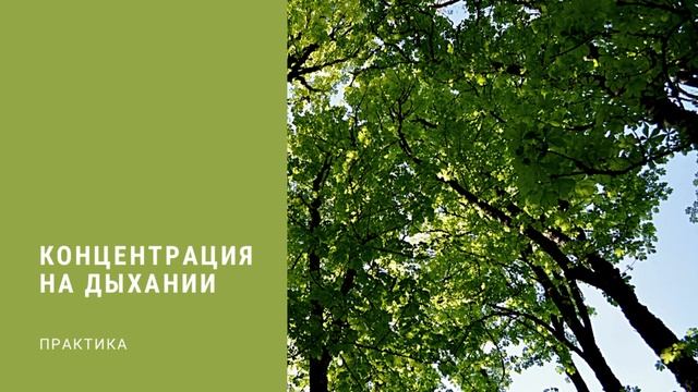 МЕДИТАЦИЯ, ОБУЧЕНИЕ КОНЦЕНТРАЦИИ НА ДЫХАНИИ смотреть онлайн