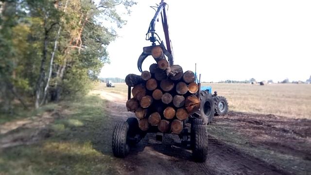Везу дрова на газ 3309 бревнами по 3 метра! Погрузка манипулятором. смотреть онлайн