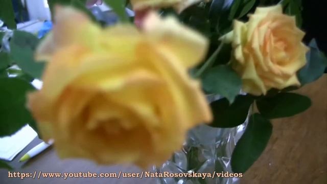 РОЗЫ В СЕНТЯБРЕ (Rose, Rosа, Roses) смотреть онлайн