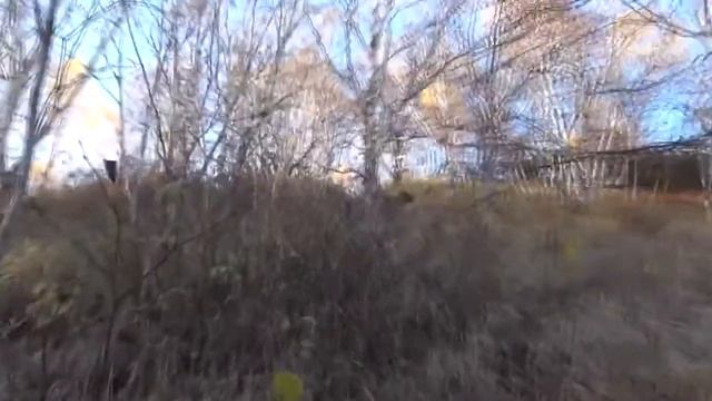 Перепелица Д.С. Рыболовный туризм смотреть онлайн